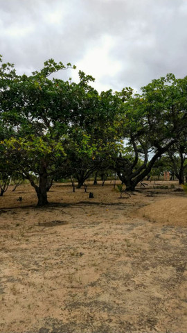 ÓTIMA OPORTUNIDADE - Foto 5