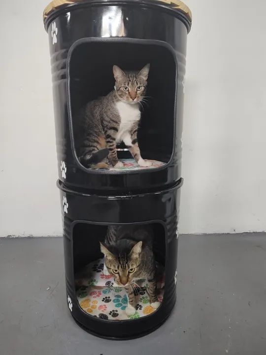 Bistrô em tambores com estante porta objetos ou para seus PETs  - Foto 3