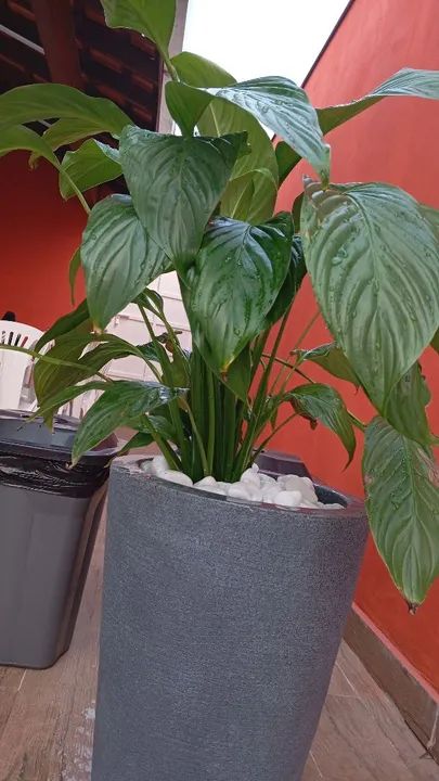 ESPAÇO LAZER FESTA/ANIVERSÁRIO COM PISCINA/ WANEL VILLE 2 - Foto 5