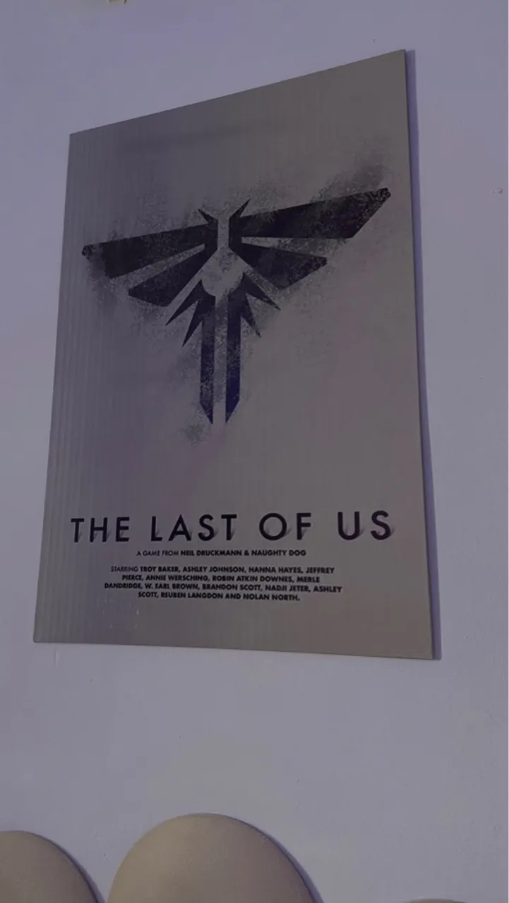 Quadro Decorativo The Last of Us 40x60