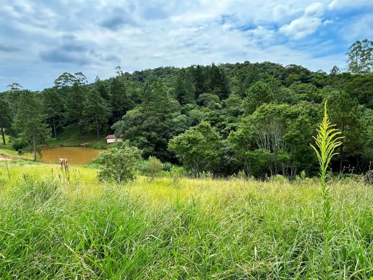 Lago para pesca, trilha e playground  Tudo para sua família! - Foto 4