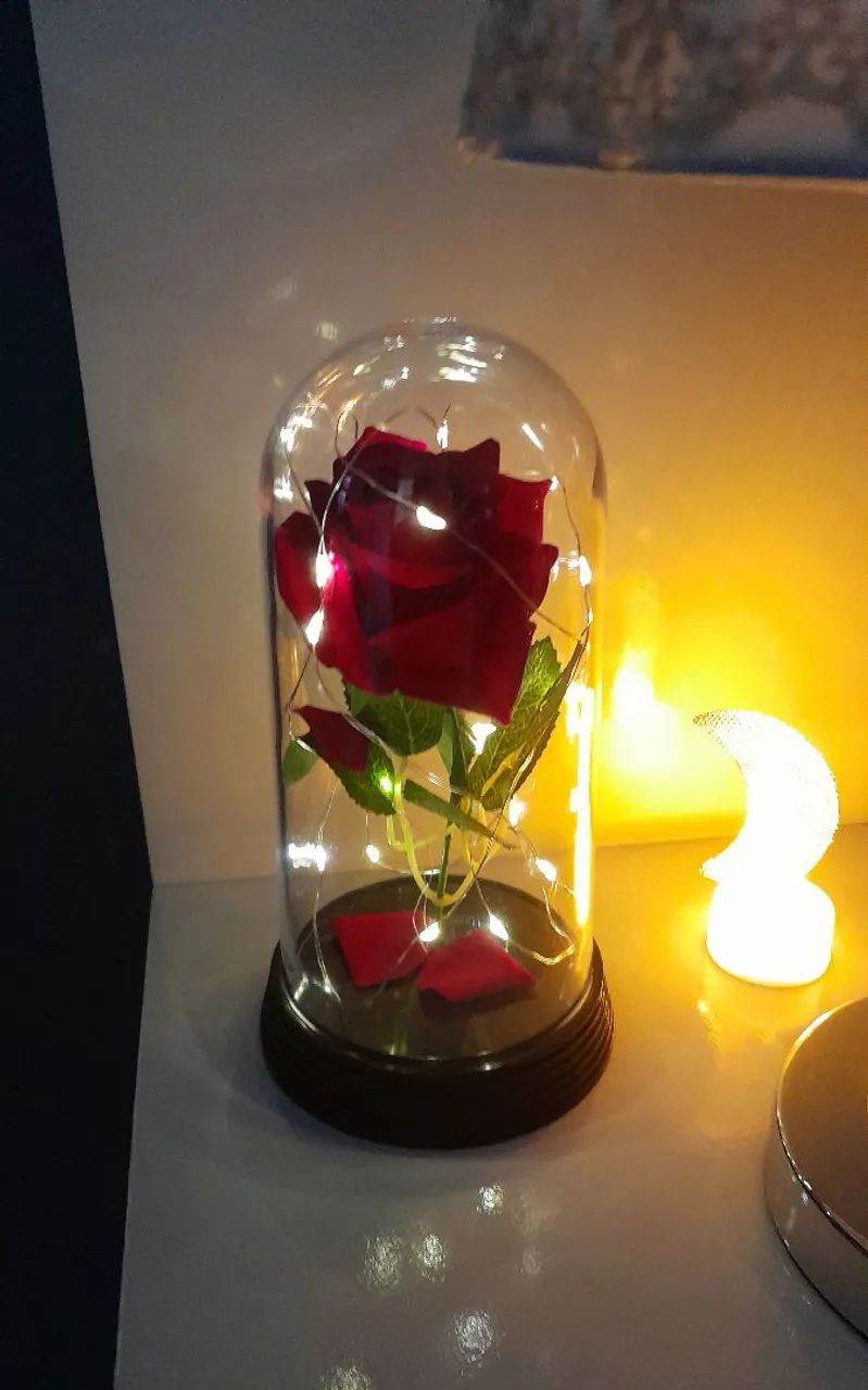 Rosa Encantada com Luzes LED