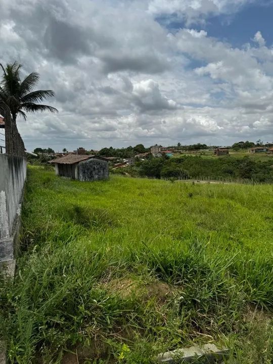 LOTE 10X25 DOCS OK - Foto 8