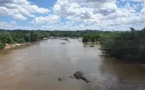 FAZENDA: Fazenda de 310 hectares a venda na beira do rio em Chapadinha-MA