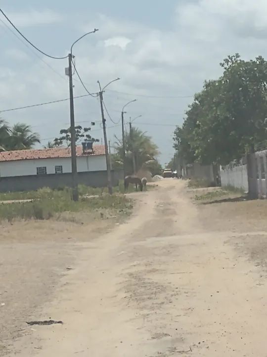 Terreno área plana A partir de 20Mil - Foto 11