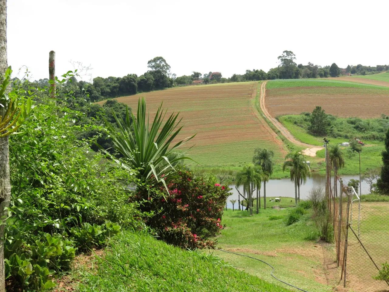 Linda chacara de temporada em Ibiuna, NATAL DISPONÍVEL. , - Foto 5