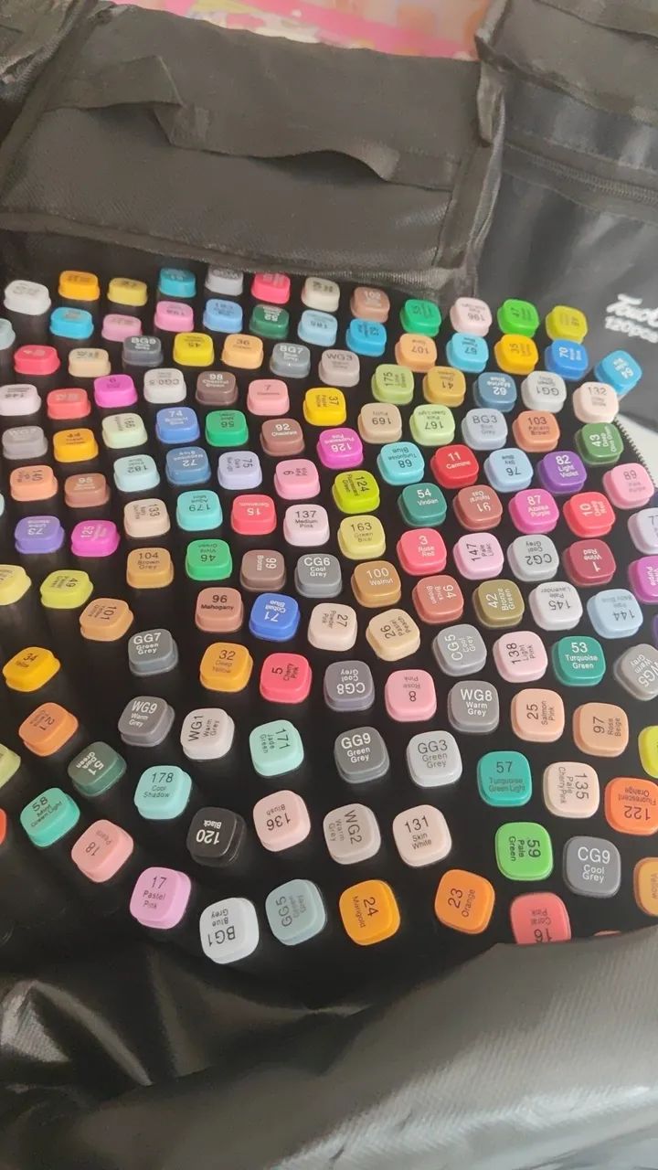 Canetinhas Touch 36, 48, 60, 80, 120 e 168 cores mega promoção e entrega gratis - Foto 6