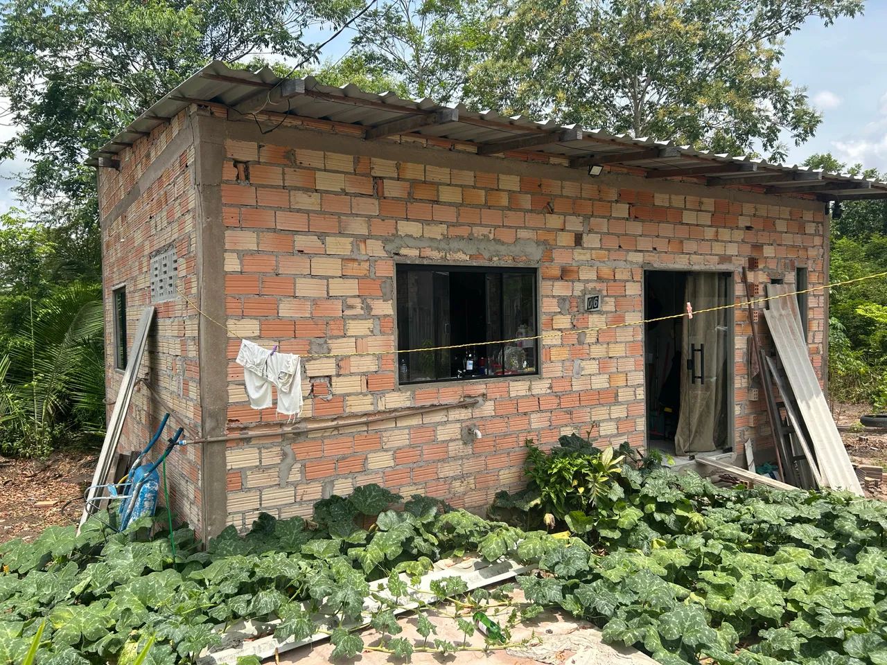 Foto - Santarém - Floresta