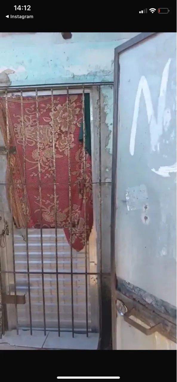 Foto - Paulista - Pau Amarelo