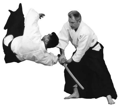 CURSO DE AIKIDO FAIXA PRETA C/ CERTIFICADO