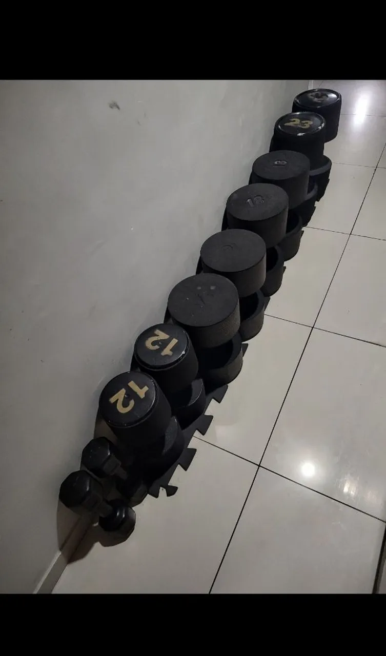Jogo de Halteres Peso Raiz. para treinar pesado em casa