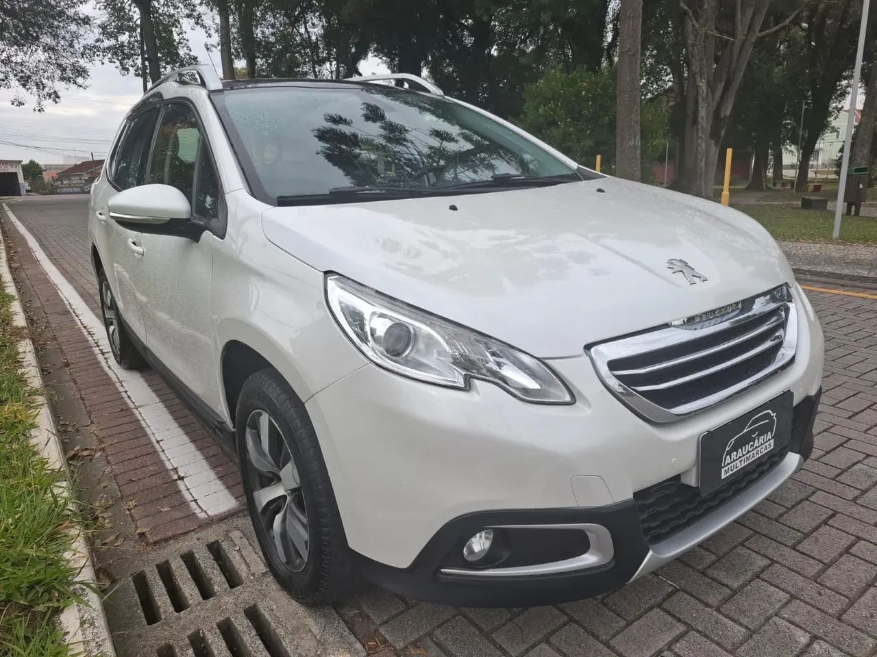Peugeot grife 1.6 2017 automático 