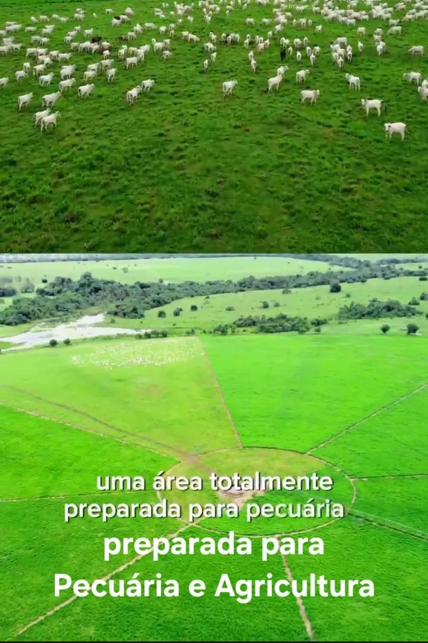 FAZENDA A VENDA abaixo do preço de mercado - Foto 3