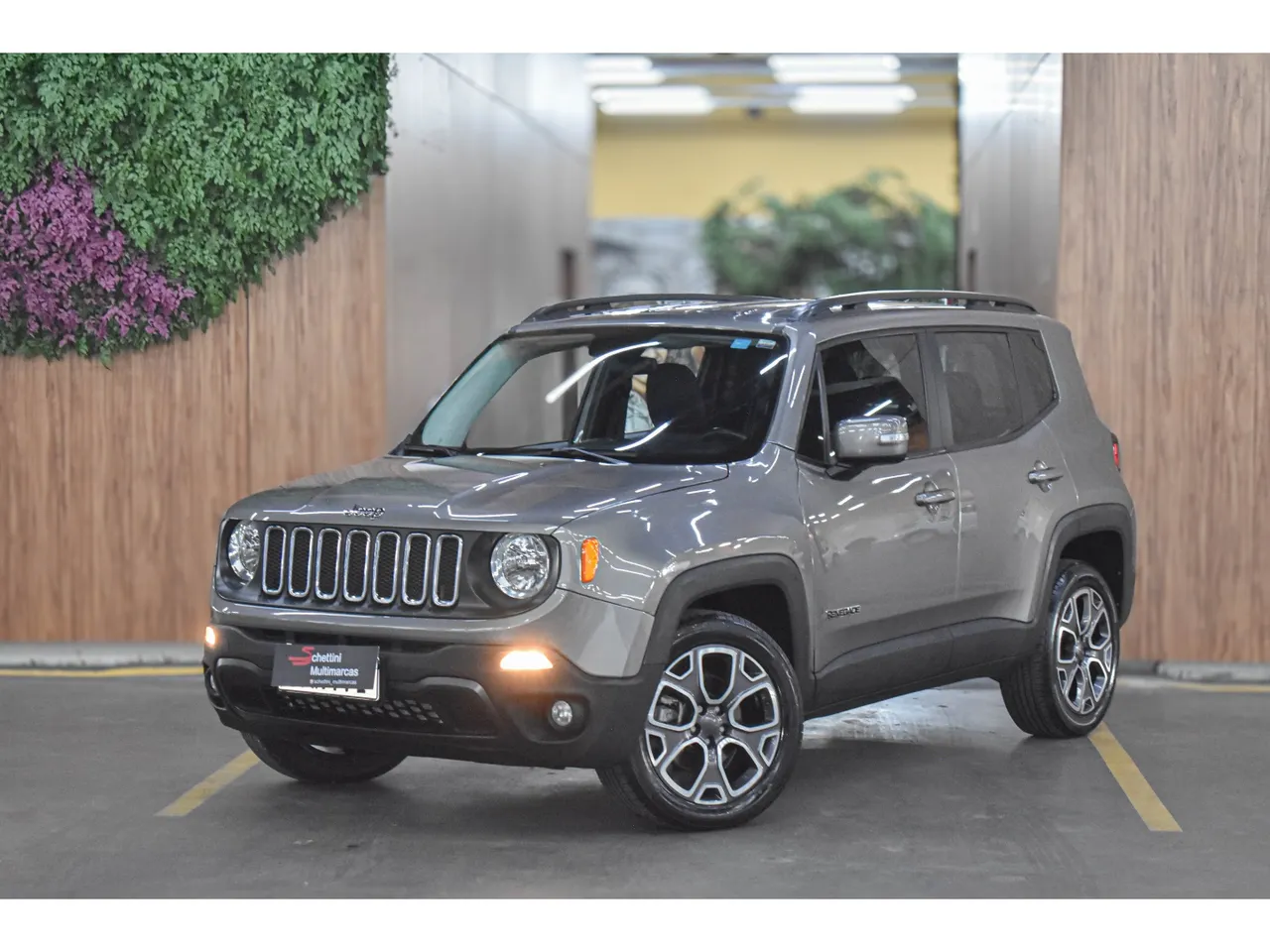 JEEP RENEGADE 2018 Usados e Novos