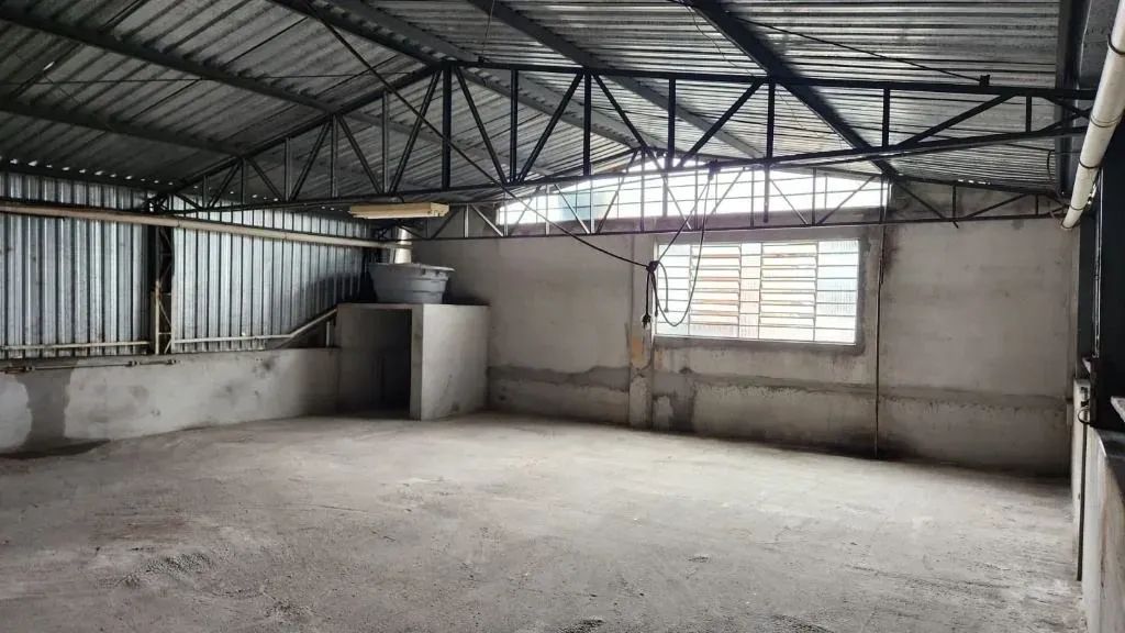 Galpão em São Paulo - Foto 4