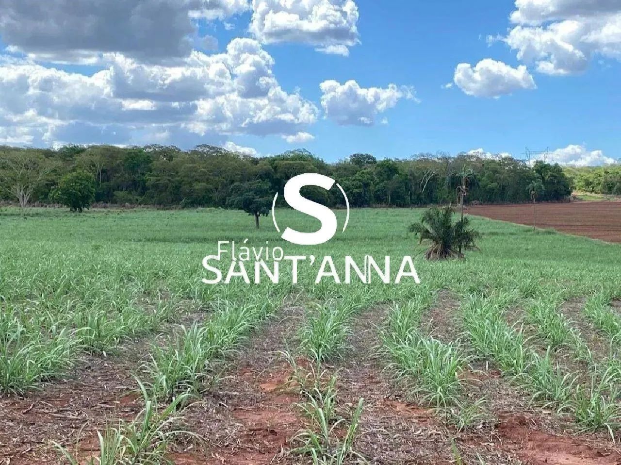 VENDE-SE SÍTIO NA REGIÃO DE INDIAPORÃ E OUROESTE. - Foto 3