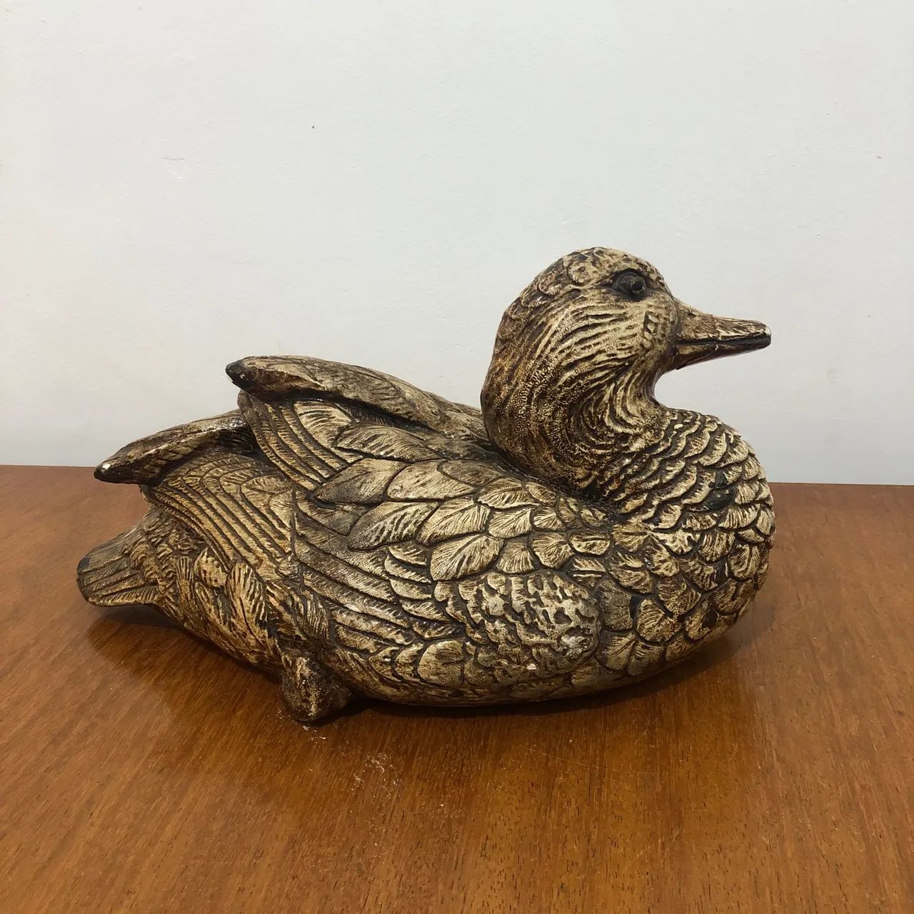 Pato selvagem - Foto 4