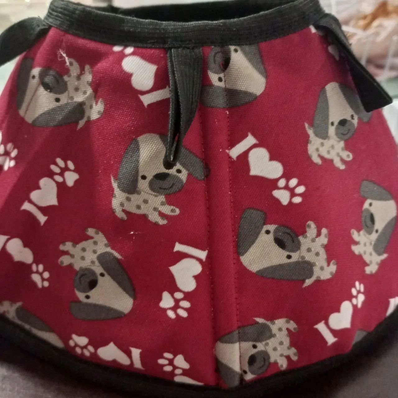 Colar para gatos - Foto 2