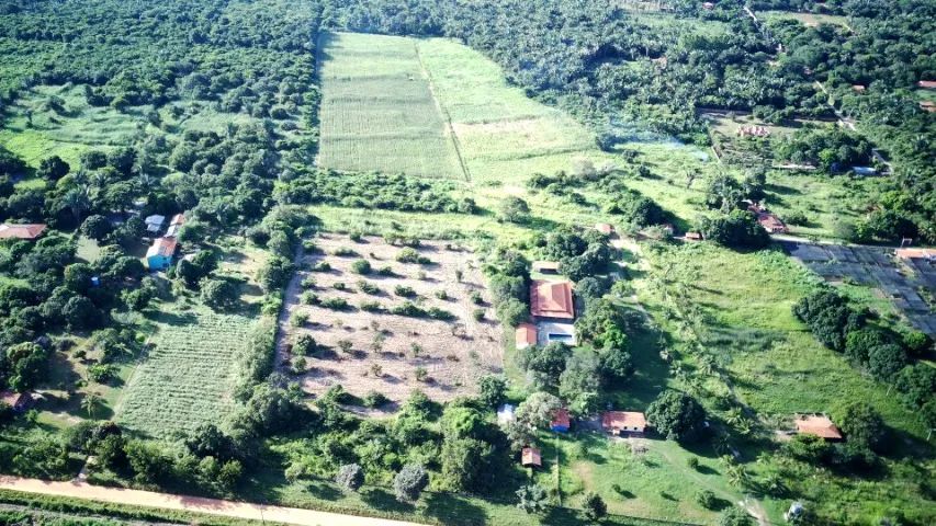 Fazendinha de 21 Hectares - Após Cond. Aldebaran PI-112 - Foto 4