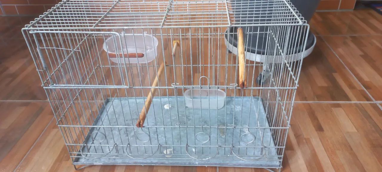 Gaiola novinha - Foto 3