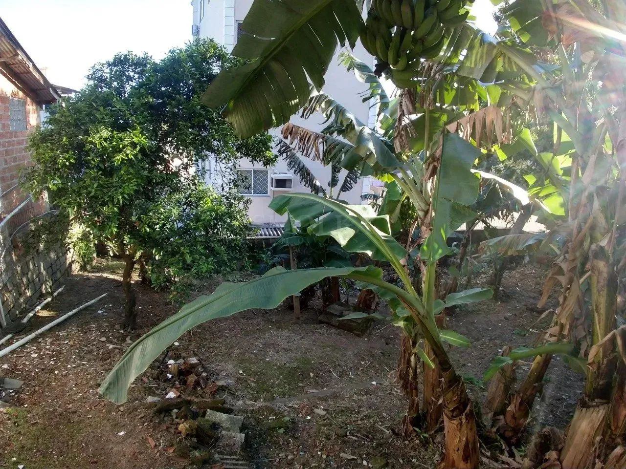 Terreno para investimento no Saco Grande, Florianópolis - Foto 5