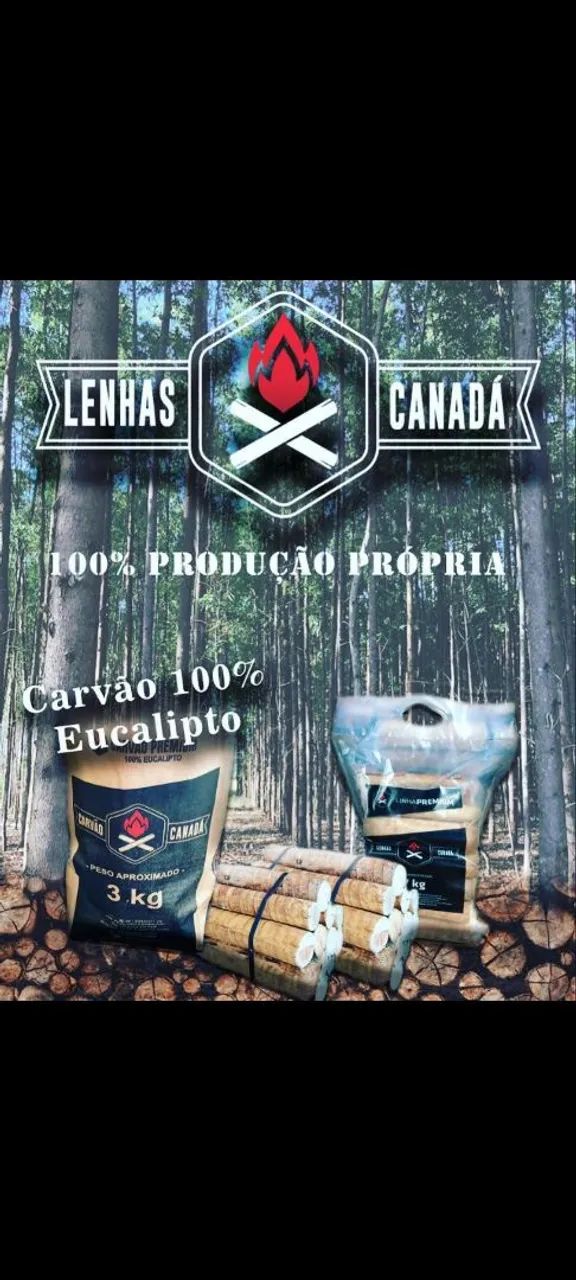 Sacos de carvão 100% Eucalipto  - Foto 4