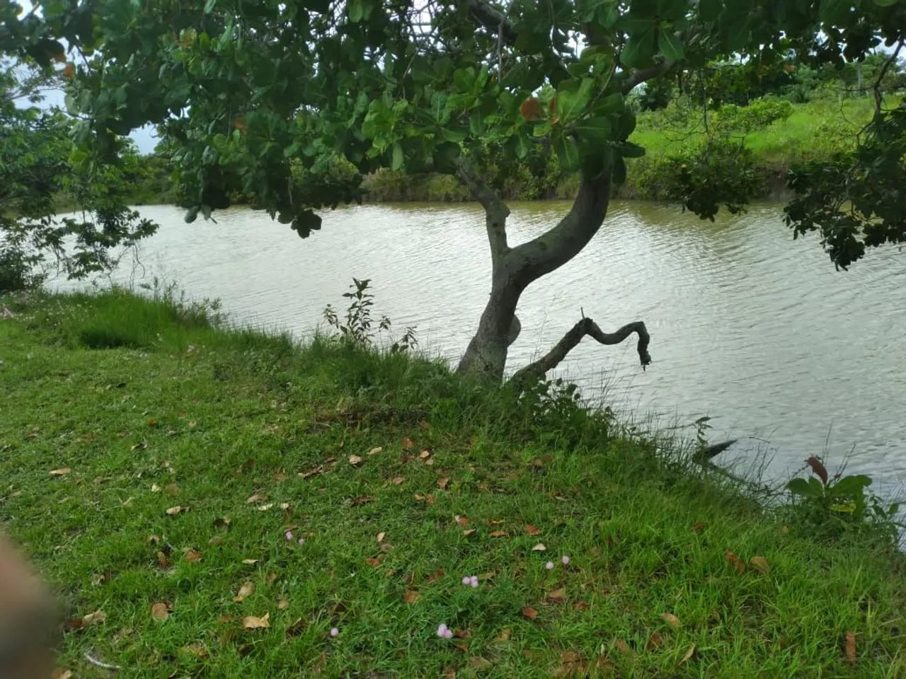Sitio - Foto 4