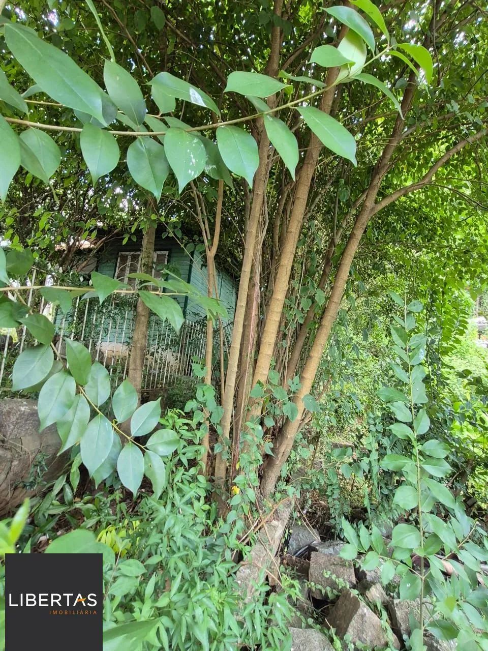 EXCELENTE OPORTUNIDADE DE TERRENO  LOCALIZAÇÃO ESTRATÉGICA! - Foto 9