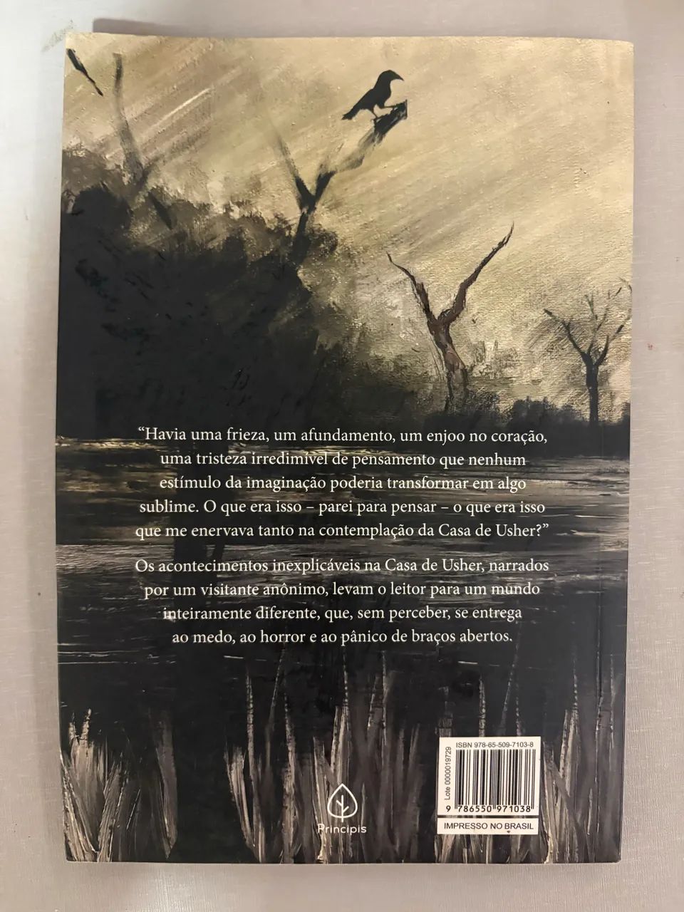 Livro ?A queda da casa de usher? - Foto 2