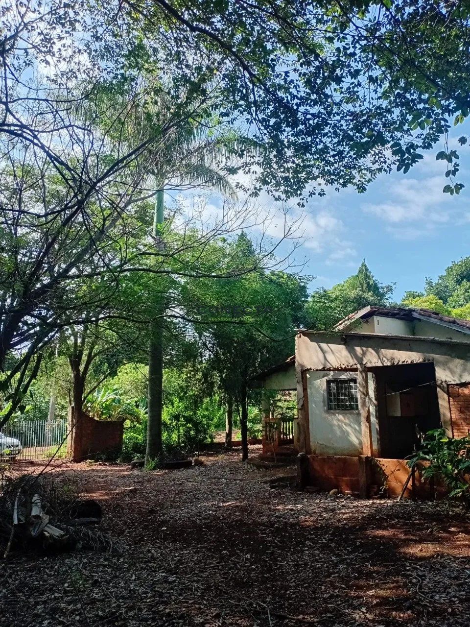 Chácara | Vila Rural | Ibiporã - Foto 5