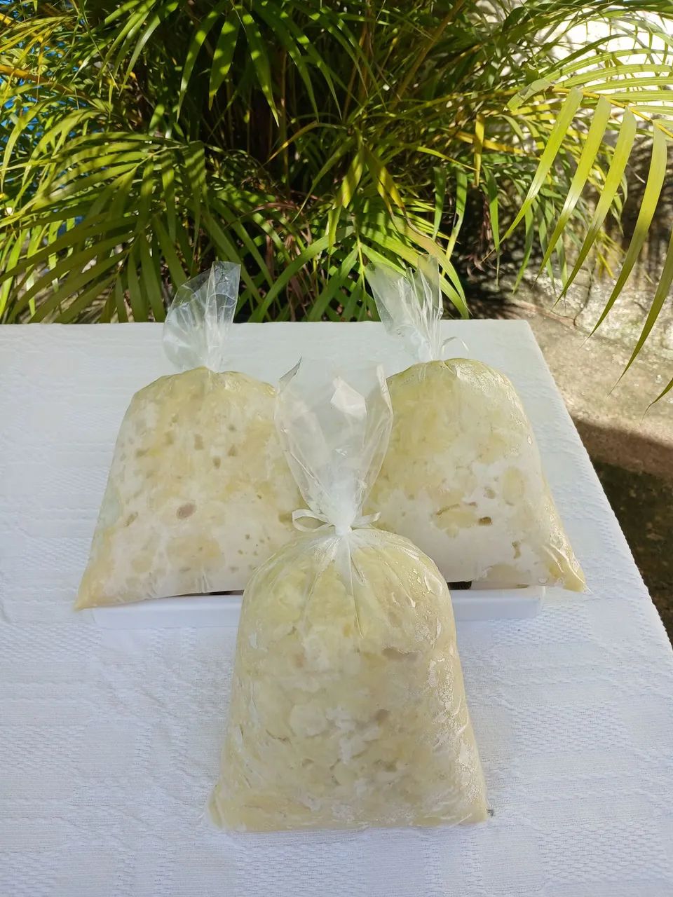 Cupuaçu cortado na tesoura 1 kilo  - Foto 3