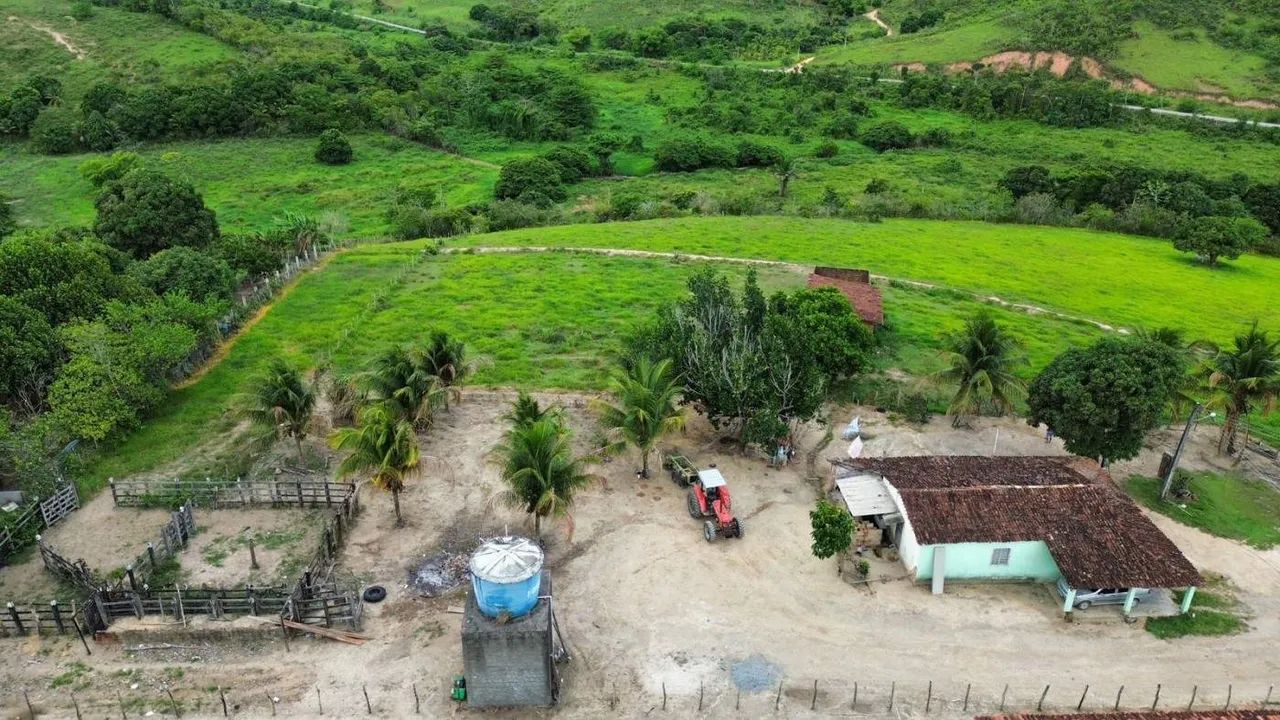 Sítio para Venda em Flexeiras, Zona Rural