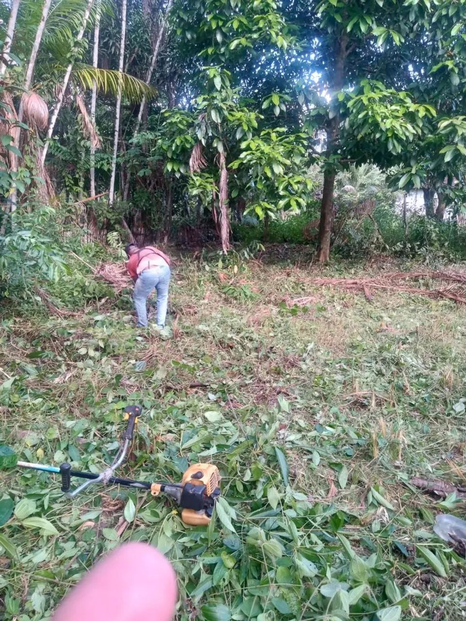 Vendo ou troco terreno  - Foto 3