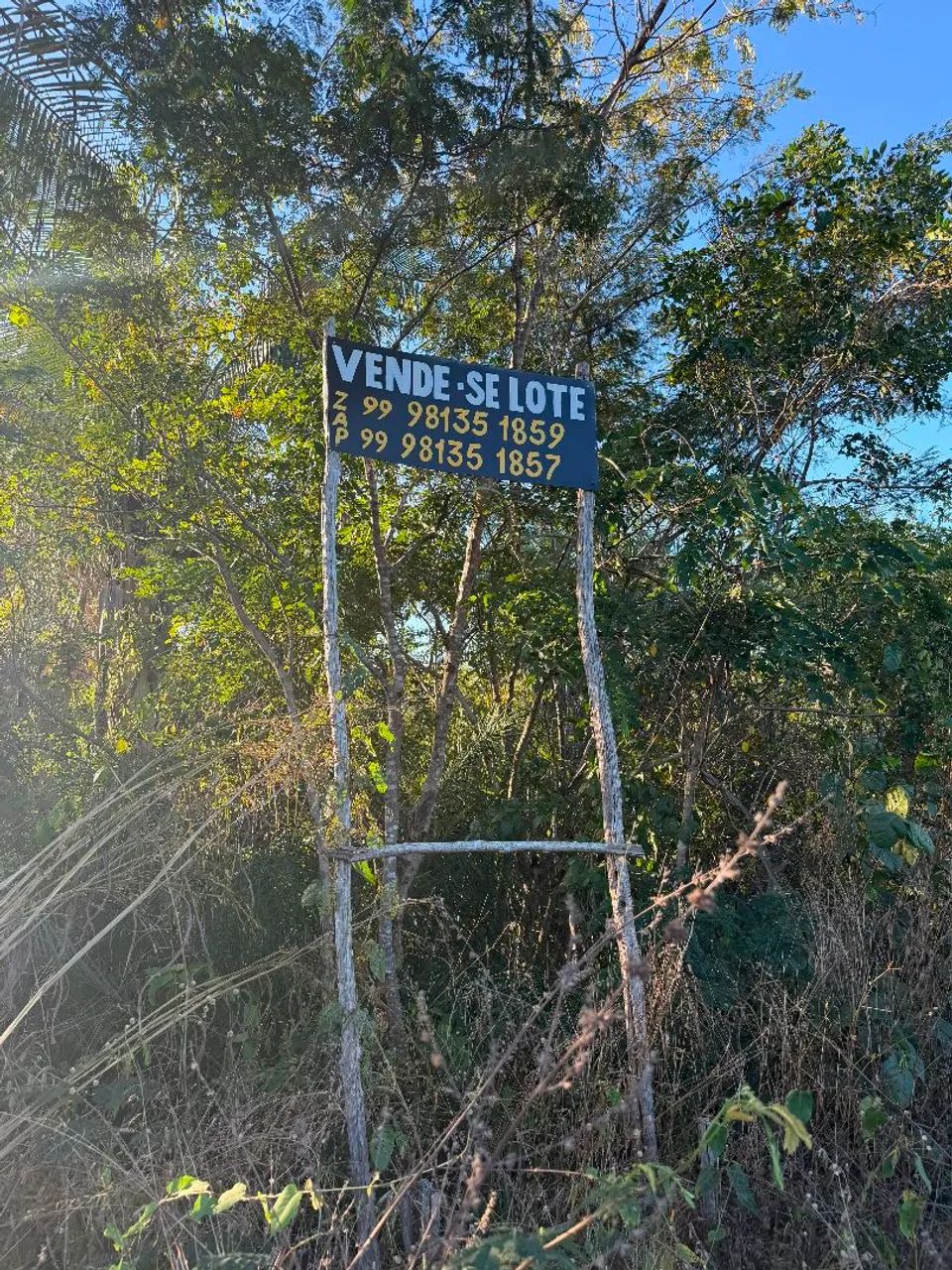 Vendem-se Lotes Povoado Criminosa