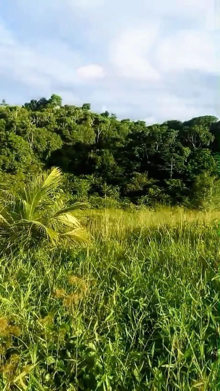Sítio com 7 hectares em moreno 4,3 km da BR 232 - Foto 2