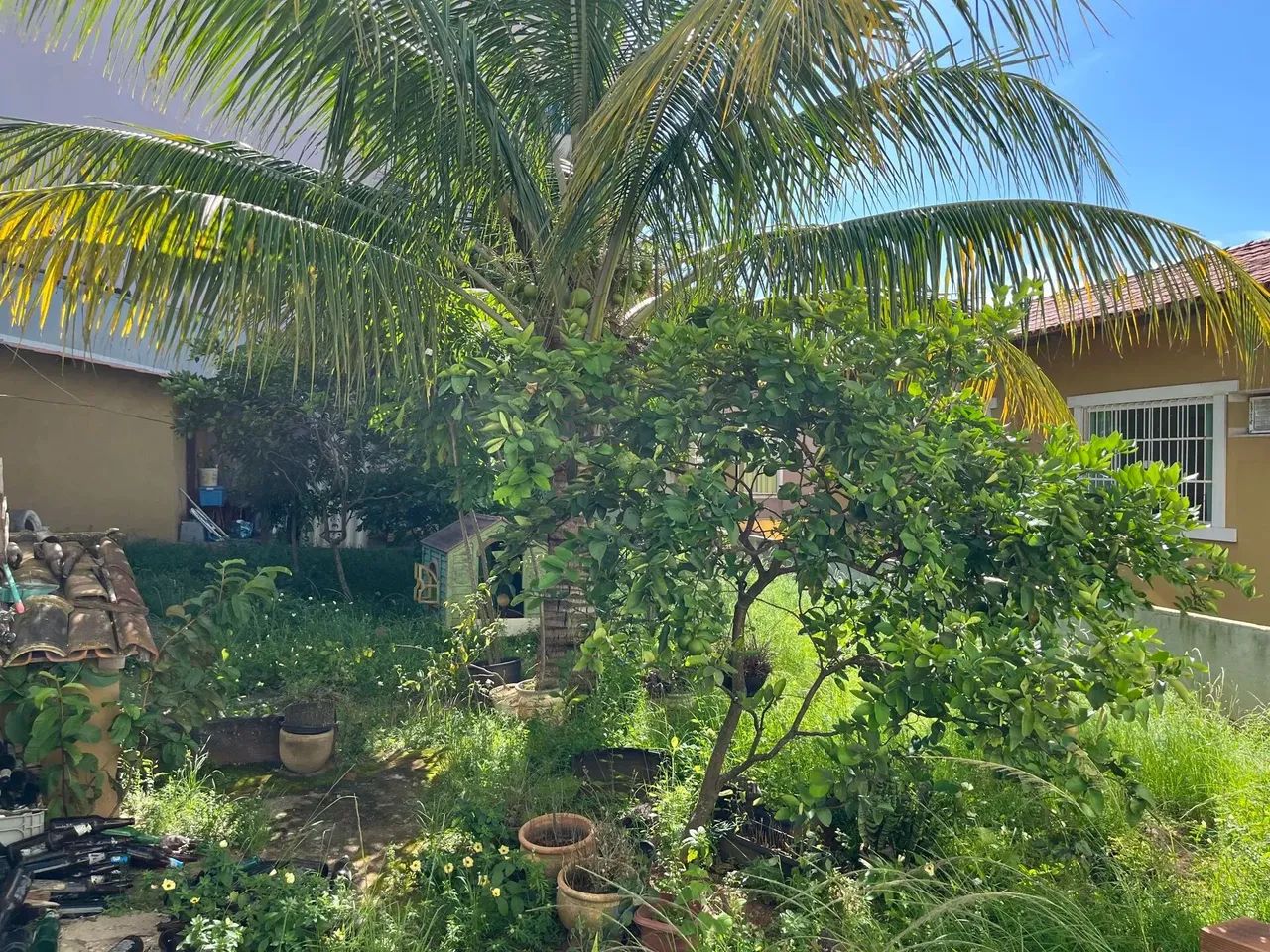 Casa em Granja dos Cavaleiros, Macaé/RJ - Foto 2