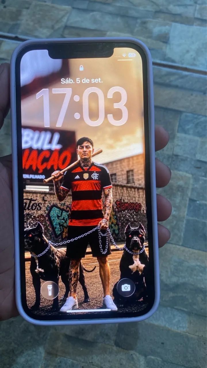 Celular 