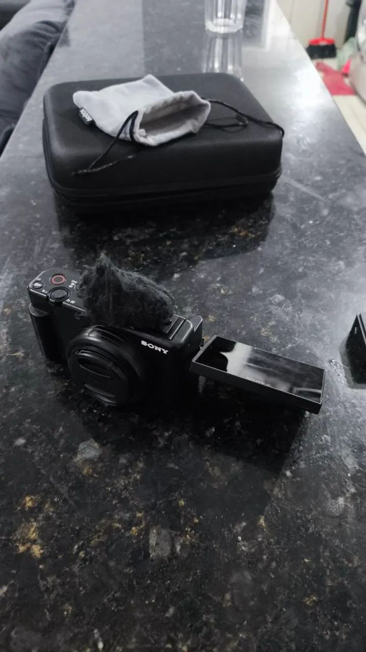 Camera Sony zv1f 