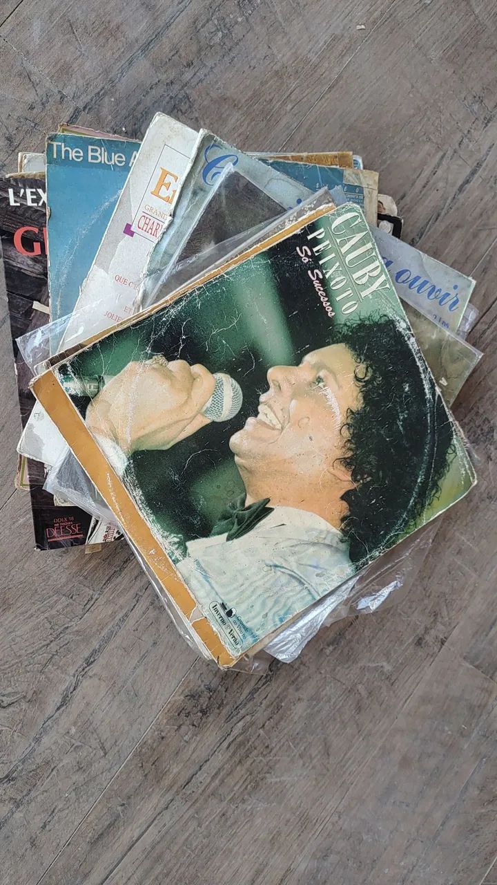 Discos de vinil só relíquia  - Foto 5