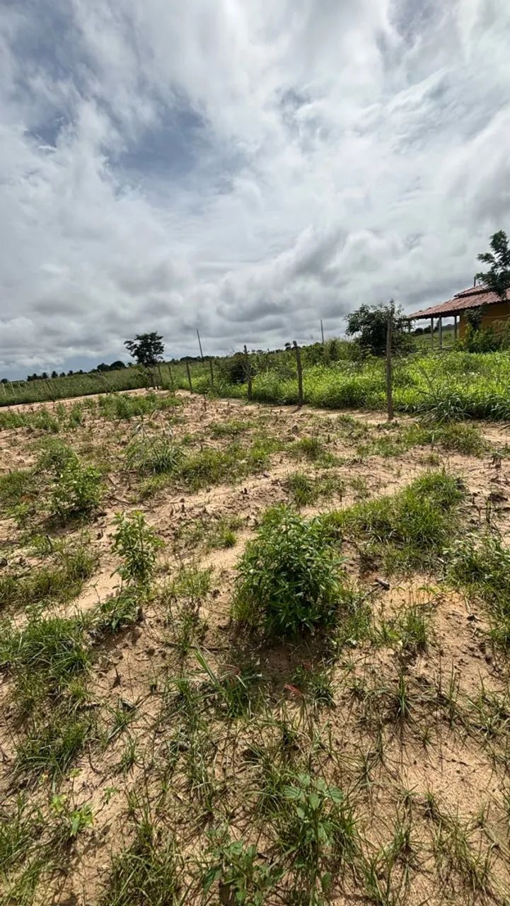 Venda de terreno - Foto 4