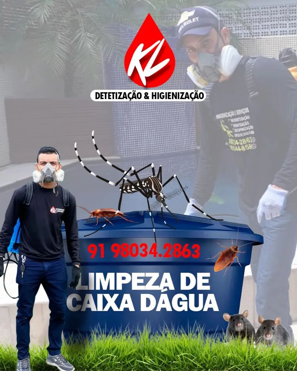 Dedetização kl dedetização  - Foto 5