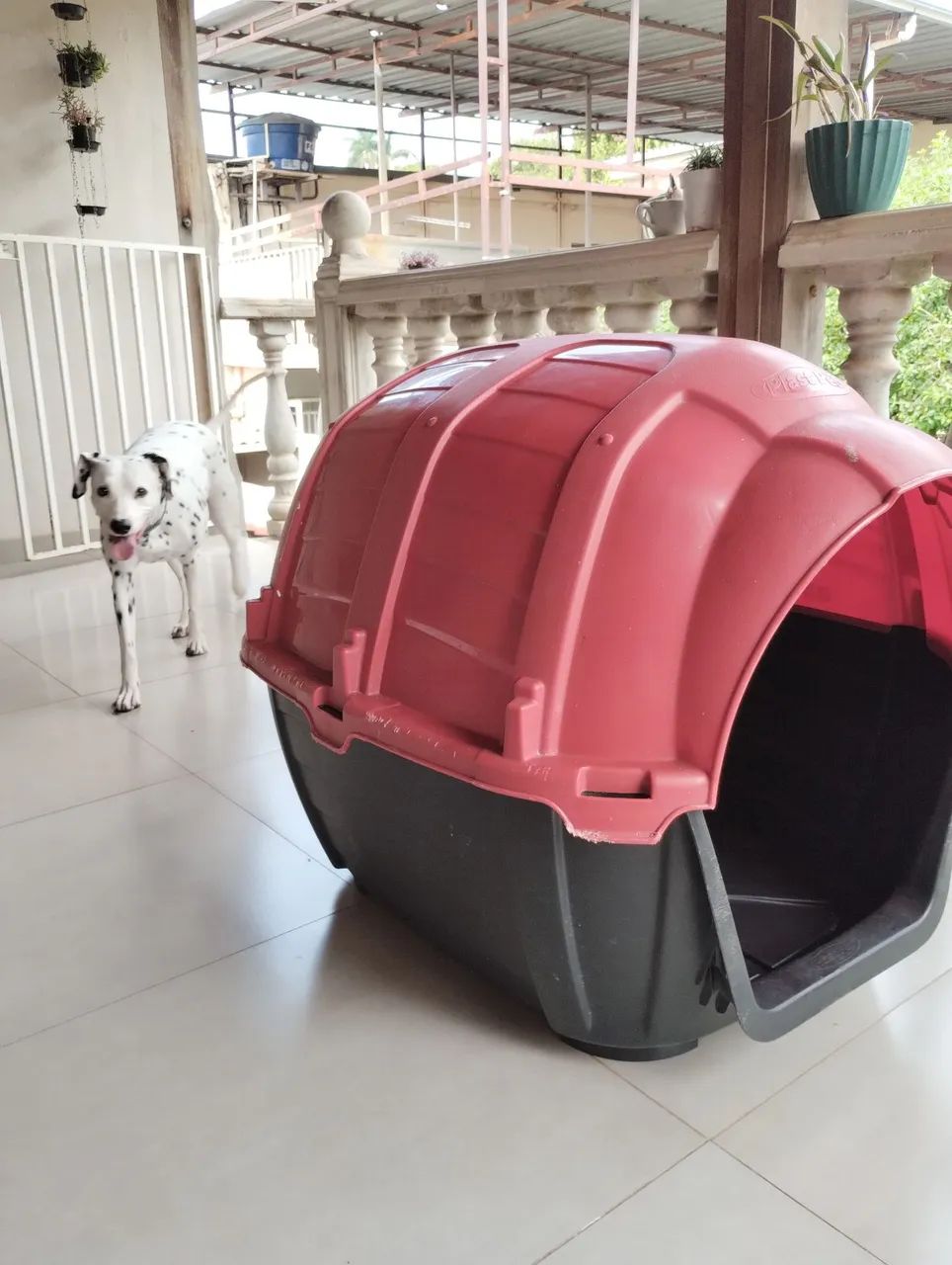 Casinha de cachorro 