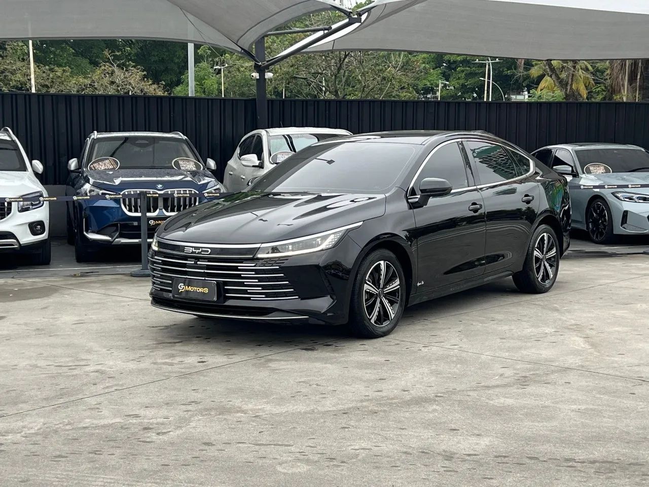 BYD King 2025
