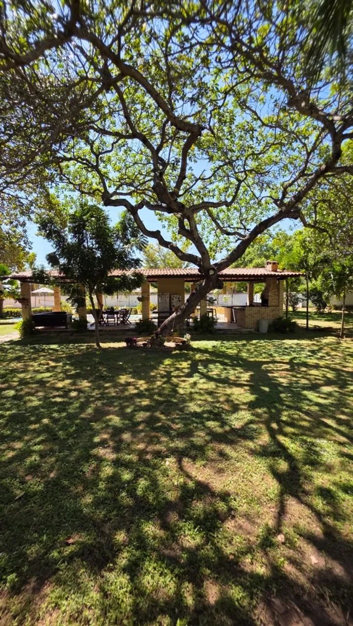 sítio cascavel  - Foto 5
