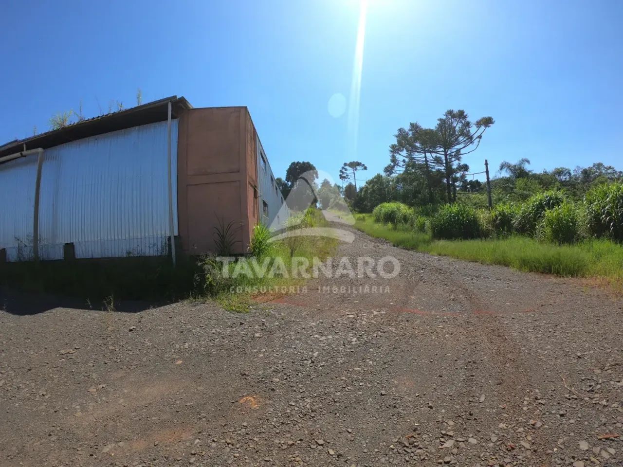 Comercial Barracão em Ponta Grossa - Foto 4