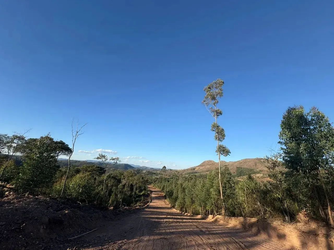 Terreno de 1000m² em São Roque  Excelente Localização na Divisa com Mairinque - Foto 10