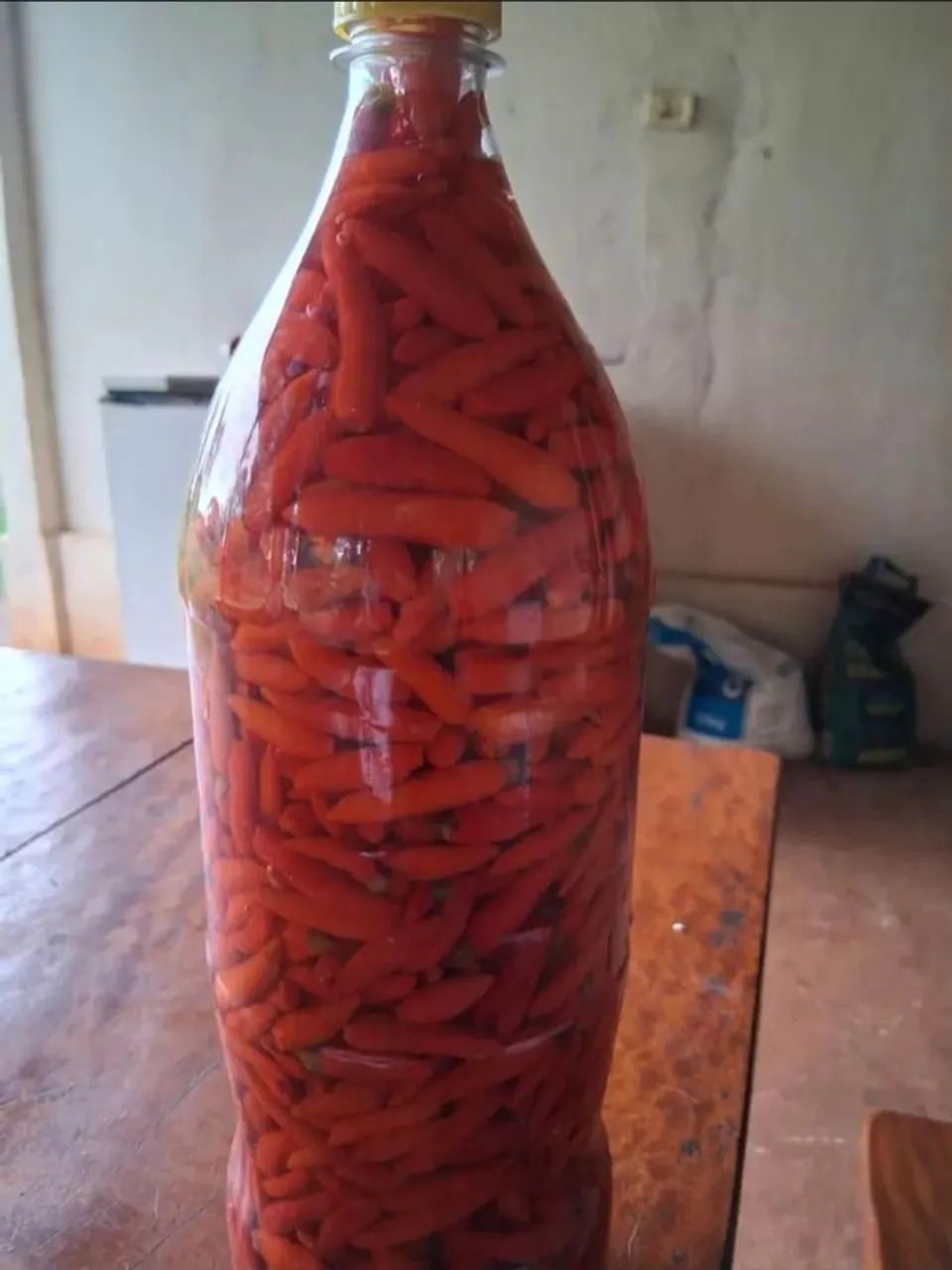 Pimenta malagueta - Foto 2