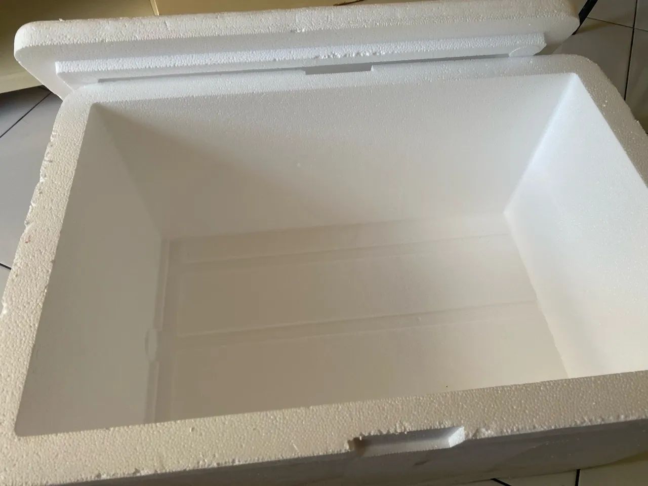 Caixa de isopor - Foto 2