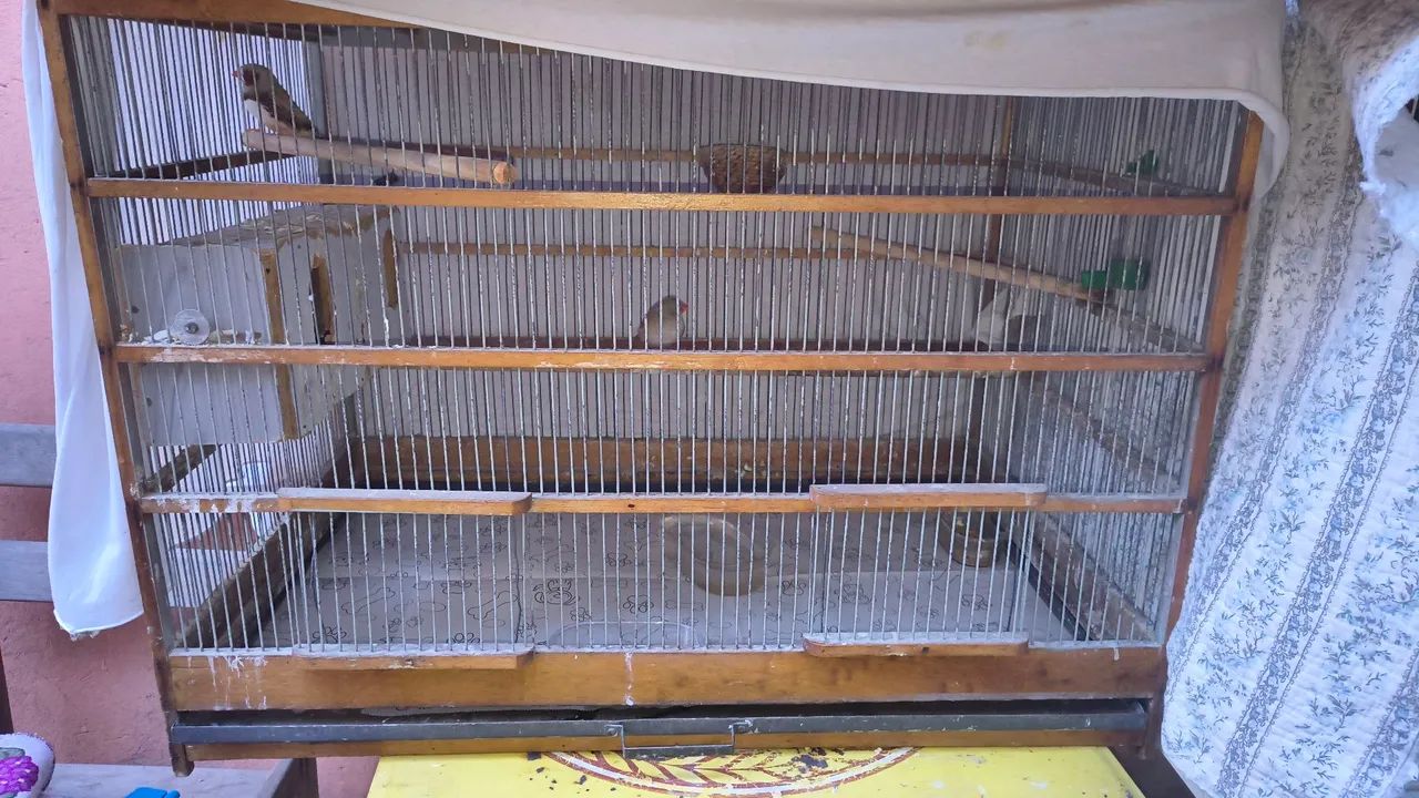 Gaiola para criadouro