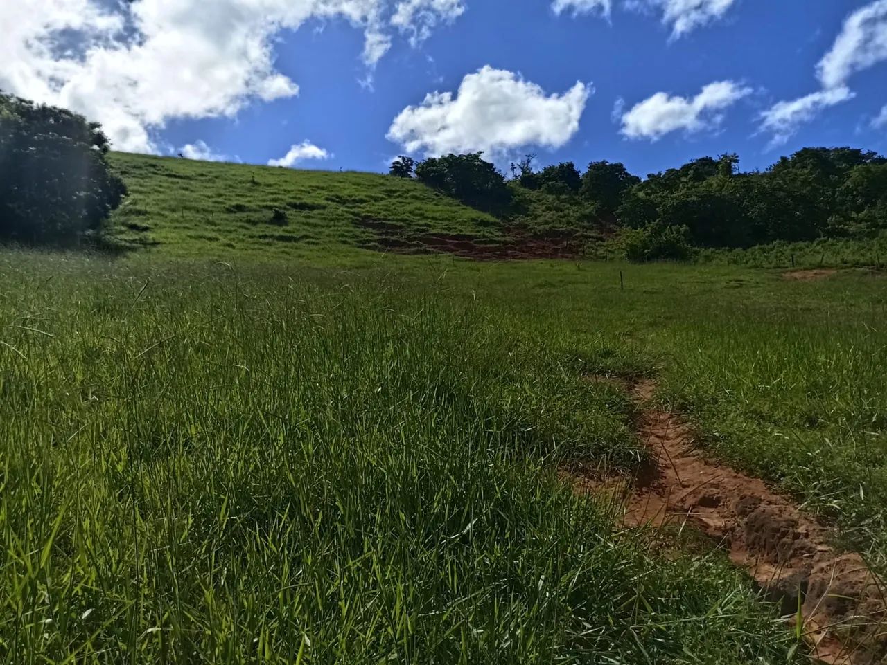 Sítio Alpercata 25.000m2 com casa - Foto 3